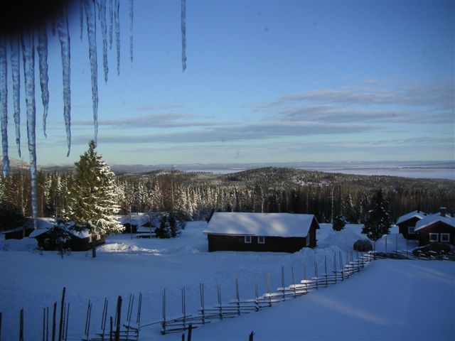 Solleröträff 2009 013